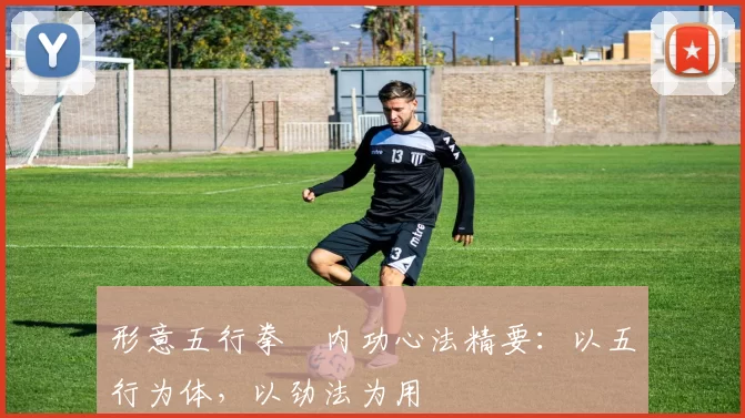 形意五行拳・内功心法精要：以五行为体，以劲法为用