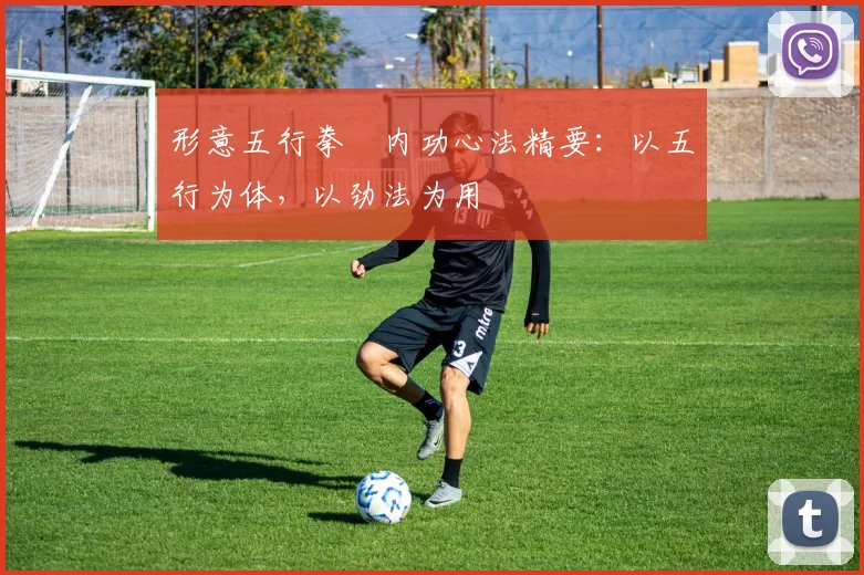 形意五行拳・内功心法精要:以五行为体,以劲法为用