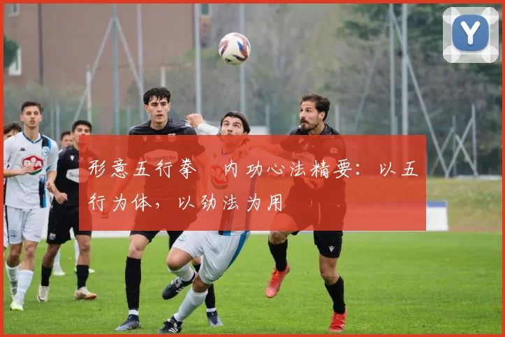 形意五行拳・内功心法精要:以五行为体,以劲法为用