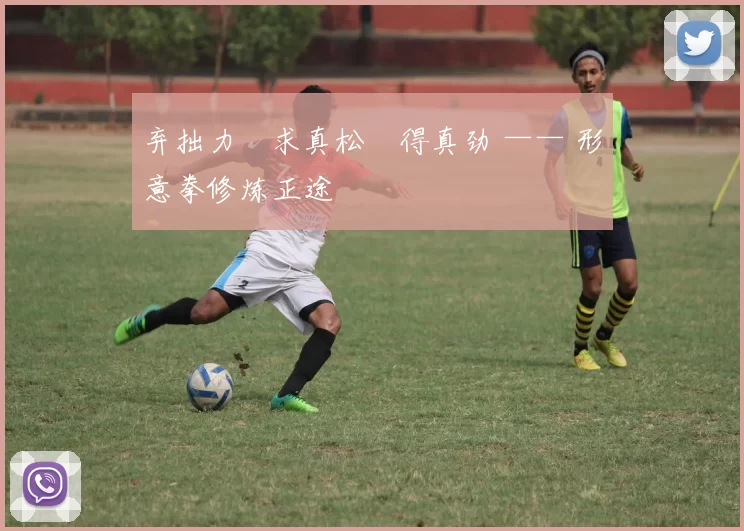 弃拙力・求真松・得真劲 —— 形意拳修炼正途