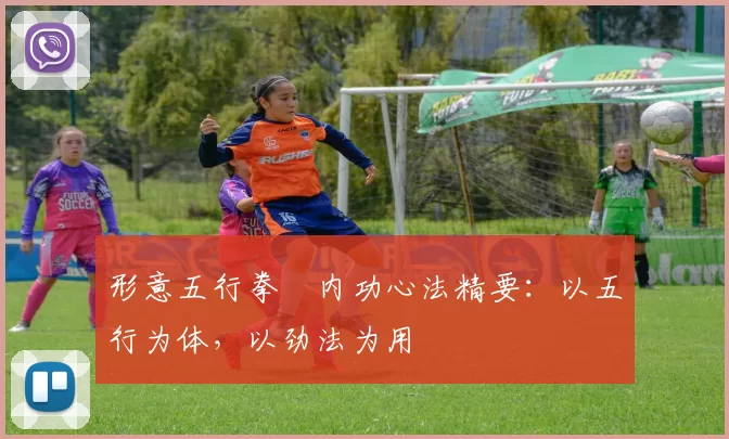 形意五行拳・内功心法精要：以五行为体，以劲法为用