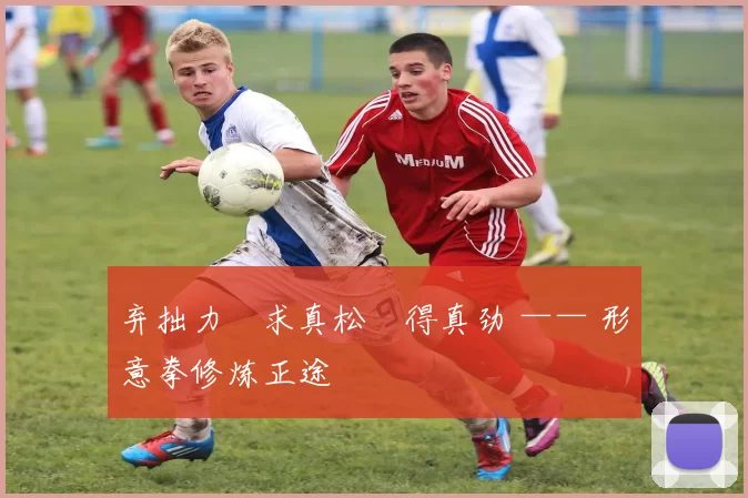 弃拙力・求真松・得真劲 —— 形意拳修炼正途