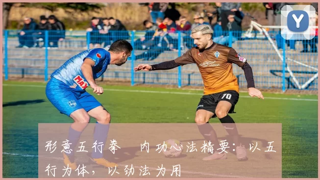 形意五行拳・内功心法精要：以五行为体，以劲法为用