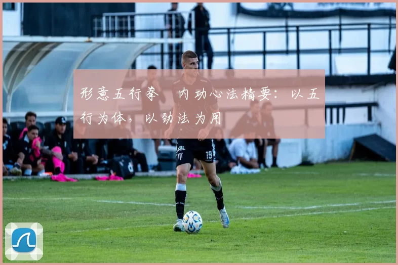 形意五行拳・内功心法精要:以五行为体,以劲法为用