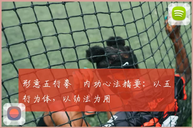 形意五行拳・内功心法精要：以五行为体，以劲法为用