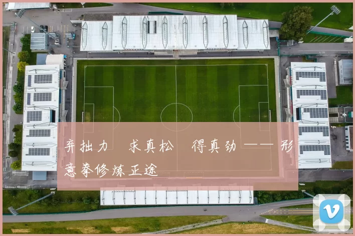 弃拙力・求真松・得真劲 —— 形意拳修炼正途