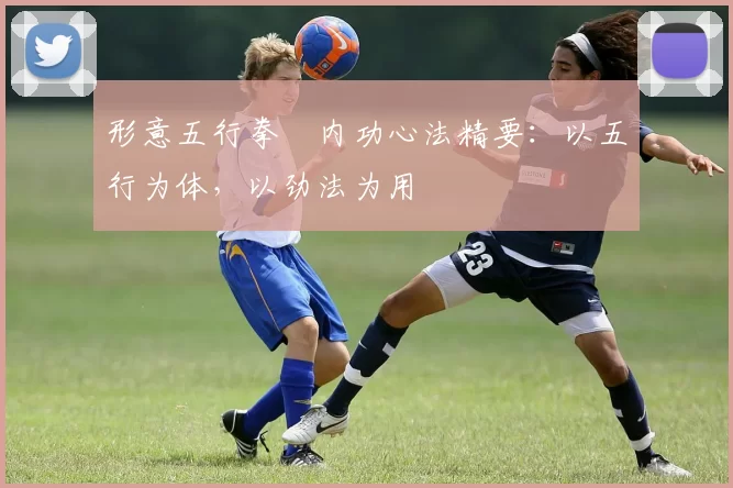 形意五行拳・内功心法精要:以五行为体,以劲法为用