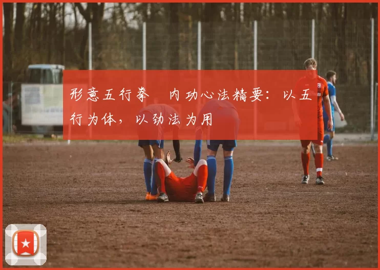 形意五行拳・内功心法精要：以五行为体，以劲法为用