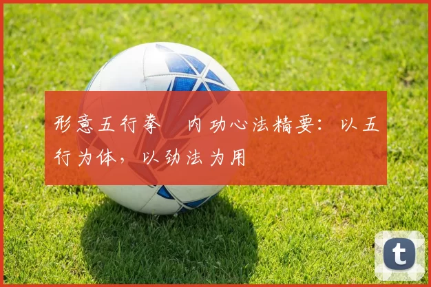 形意五行拳・内功心法精要:以五行为体,以劲法为用