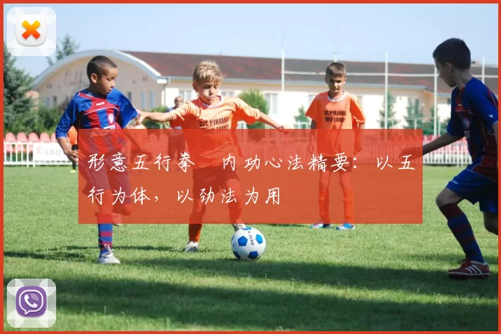 形意五行拳・内功心法精要：以五行为体，以劲法为用