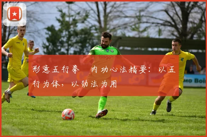 形意五行拳・内功心法精要：以五行为体，以劲法为用