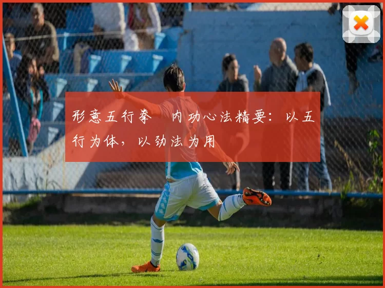 形意五行拳・内功心法精要：以五行为体，以劲法为用