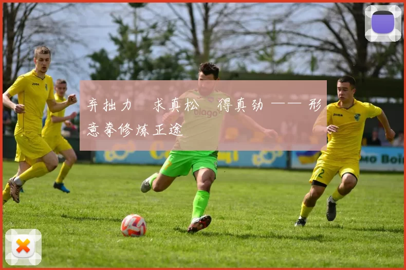 弃拙力・求真松・得真劲 —— 形意拳修炼正途