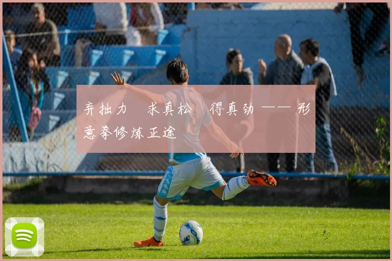 弃拙力・求真松・得真劲 —— 形意拳修炼正途