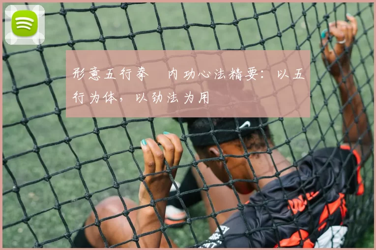 形意五行拳・内功心法精要:以五行为体,以劲法为用