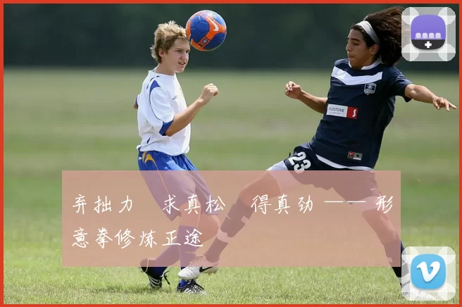 弃拙力・求真松・得真劲 —— 形意拳修炼正途