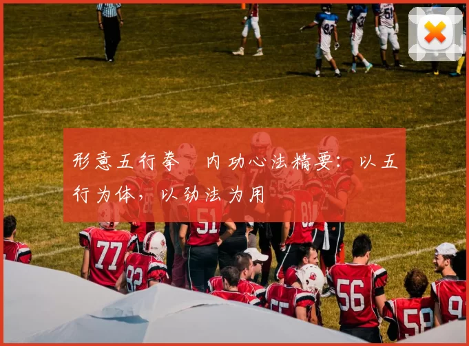 形意五行拳・内功心法精要:以五行为体,以劲法为用