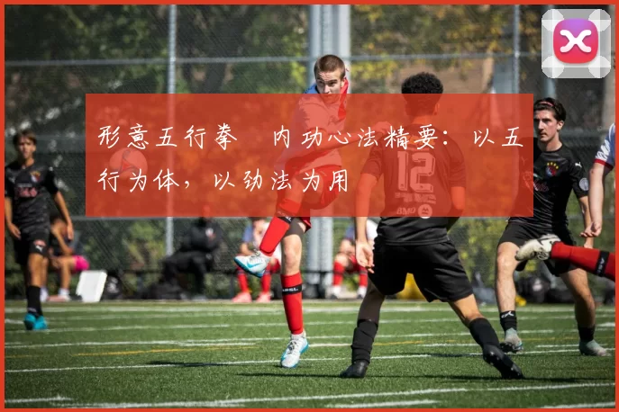 形意五行拳・内功心法精要：以五行为体，以劲法为用