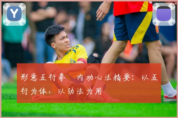 形意五行拳・内功心法精要：以五行为体，以劲法为用