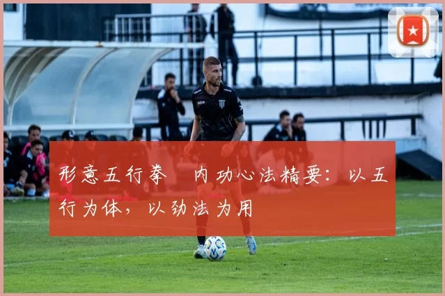 形意五行拳・内功心法精要：以五行为体，以劲法为用