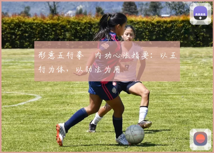 形意五行拳・内功心法精要：以五行为体，以劲法为用