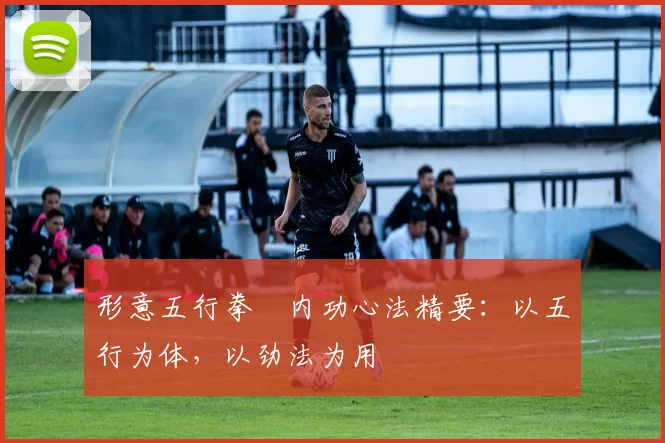 形意五行拳・内功心法精要：以五行为体，以劲法为用