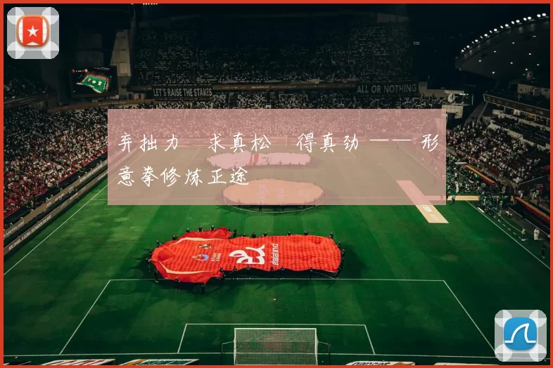 弃拙力・求真松・得真劲 —— 形意拳修炼正途