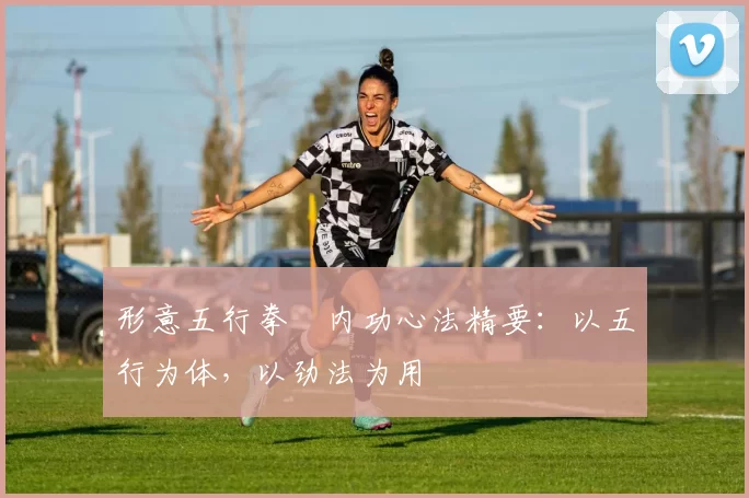 形意五行拳・内功心法精要：以五行为体，以劲法为用