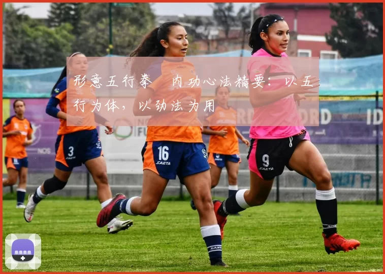 形意五行拳・内功心法精要：以五行为体，以劲法为用