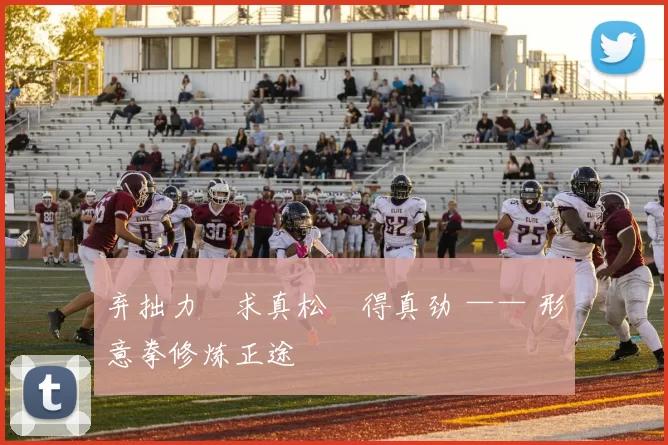 弃拙力・求真松・得真劲 —— 形意拳修炼正途