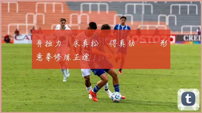 弃拙力・求真松・得真劲 —— 形意拳修炼正途