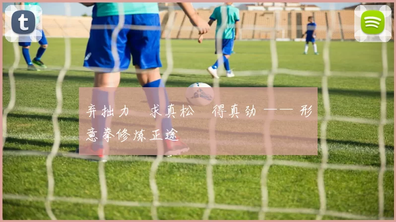 弃拙力・求真松・得真劲 —— 形意拳修炼正途