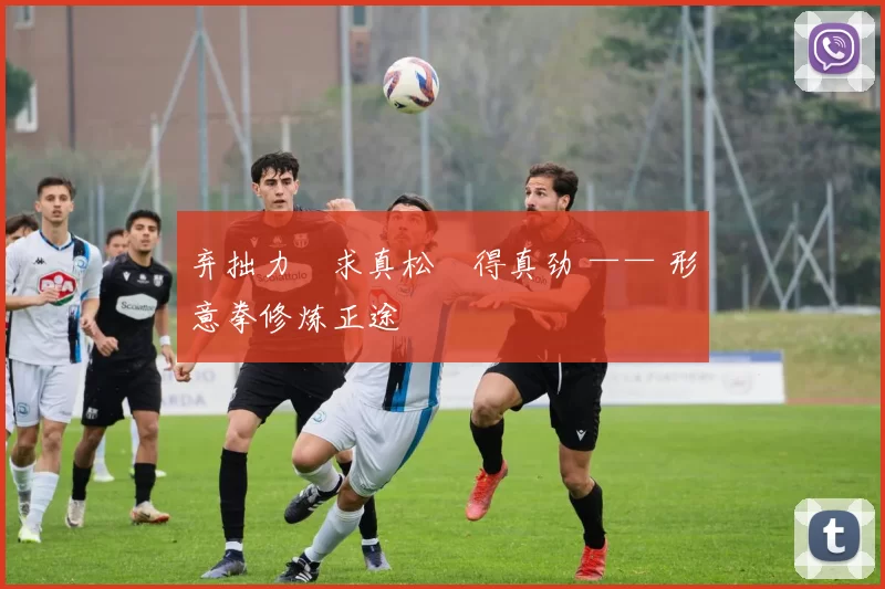 弃拙力・求真松・得真劲 —— 形意拳修炼正途