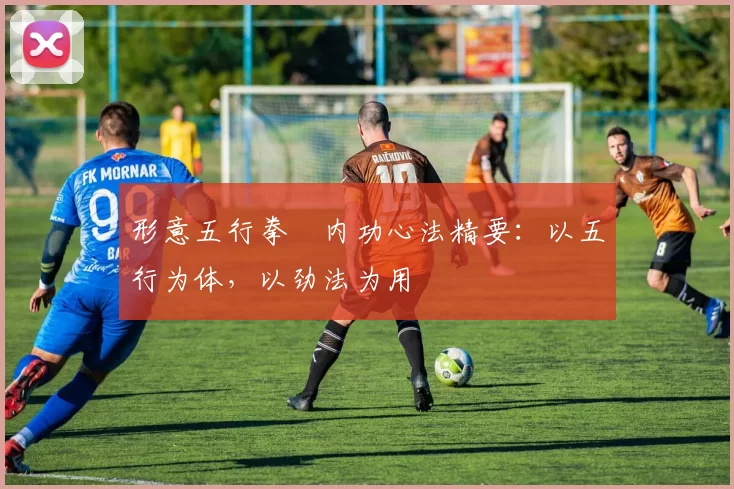 形意五行拳・内功心法精要：以五行为体，以劲法为用