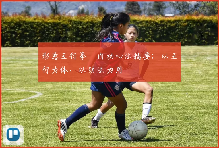 形意五行拳・内功心法精要:以五行为体,以劲法为用