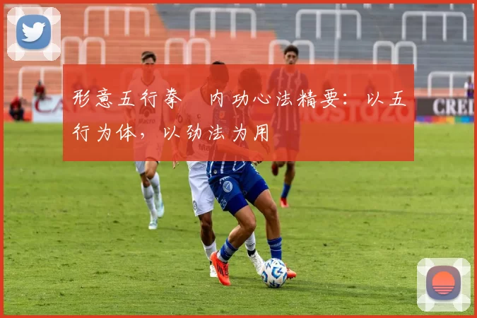 形意五行拳・内功心法精要：以五行为体，以劲法为用