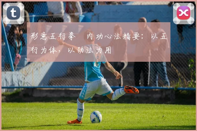 形意五行拳・内功心法精要：以五行为体，以劲法为用