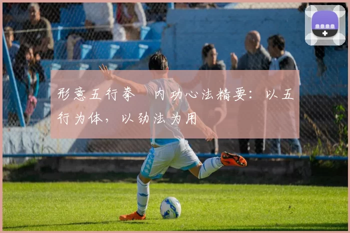 形意五行拳・内功心法精要:以五行为体,以劲法为用