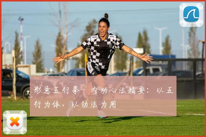 形意五行拳・内功心法精要:以五行为体,以劲法为用