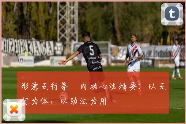 形意五行拳・内功心法精要：以五行为体，以劲法为用