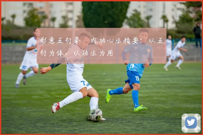 形意五行拳・内功心法精要：以五行为体，以劲法为用