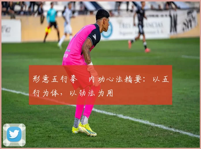 形意五行拳・内功心法精要：以五行为体，以劲法为用