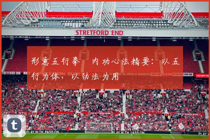 形意五行拳・内功心法精要:以五行为体,以劲法为用