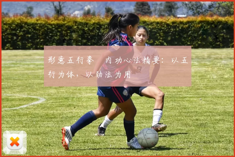 形意五行拳・内功心法精要：以五行为体，以劲法为用