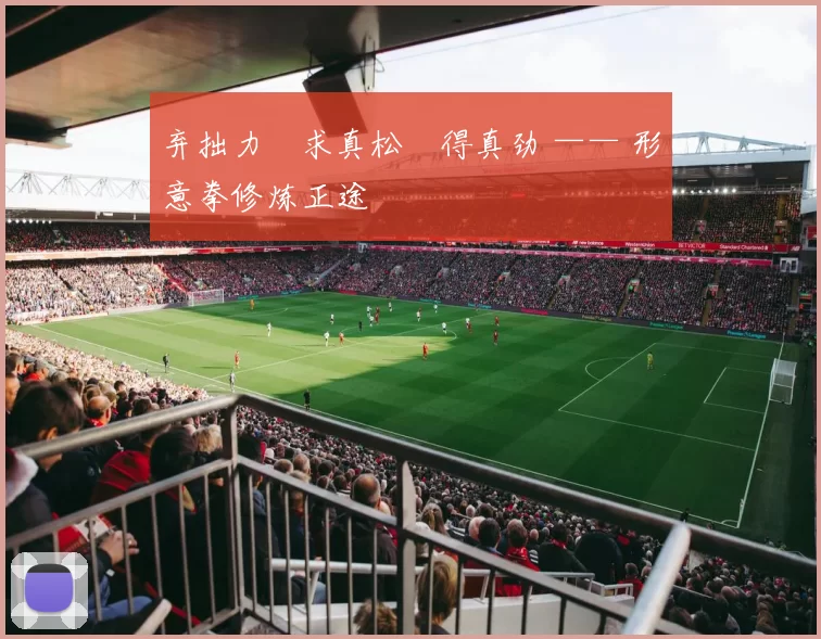 弃拙力・求真松・得真劲 —— 形意拳修炼正途