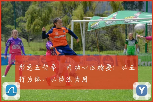 形意五行拳・内功心法精要:以五行为体,以劲法为用