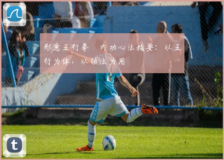 形意五行拳・内功心法精要:以五行为体,以劲法为用