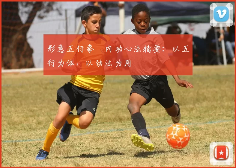 形意五行拳・内功心法精要:以五行为体,以劲法为用