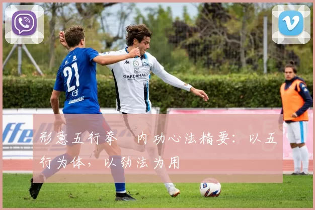 形意五行拳・内功心法精要：以五行为体，以劲法为用