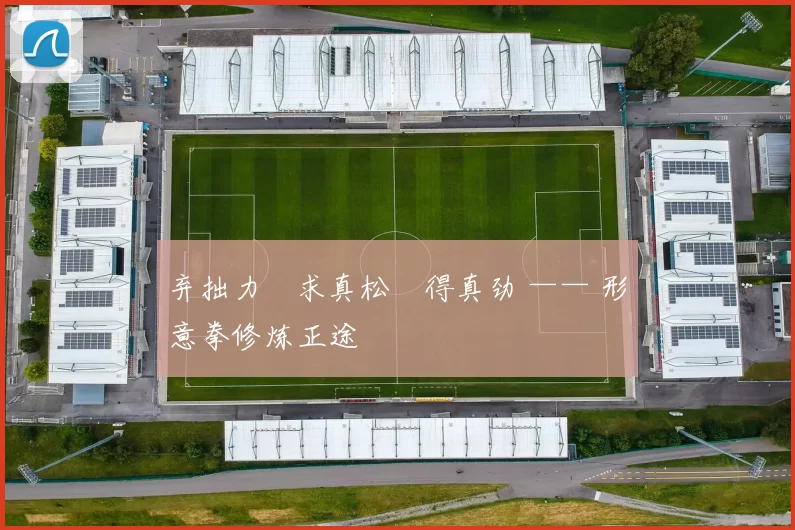 弃拙力・求真松・得真劲 —— 形意拳修炼正途